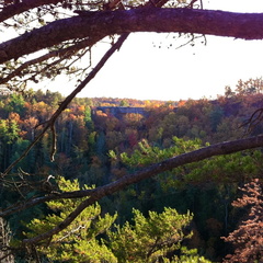 Natural Bridge State Park